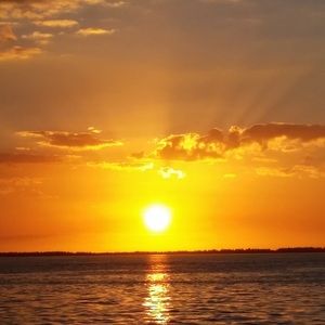 Meet your Posher, Lee